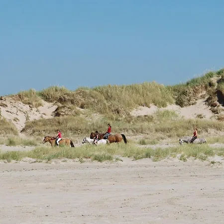 Faidra - 2-5km From The Sea By Interhome Sønderby